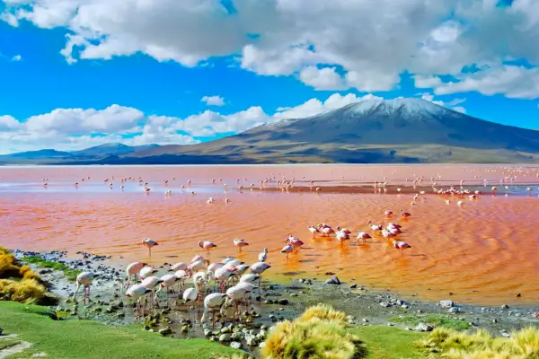 Travel To Peru and Bolivia - Inca's Paradise Travel Agency