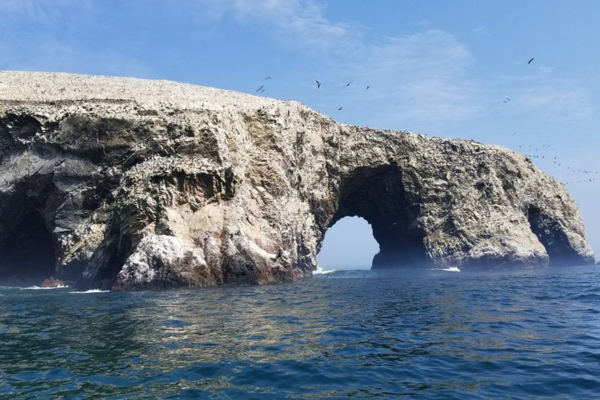 Ballestas Islands Tour Full Day